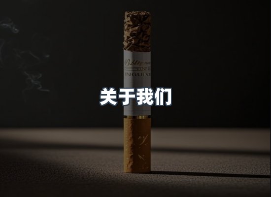专业团队